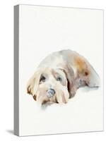 Scruffy Puppy II-Jennifer Parker-Stretched Canvas