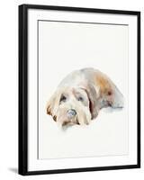 Scruffy Puppy II-Jennifer Parker-Framed Art Print