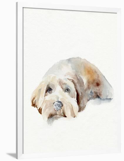 Scruffy Puppy II-Jennifer Parker-Framed Art Print