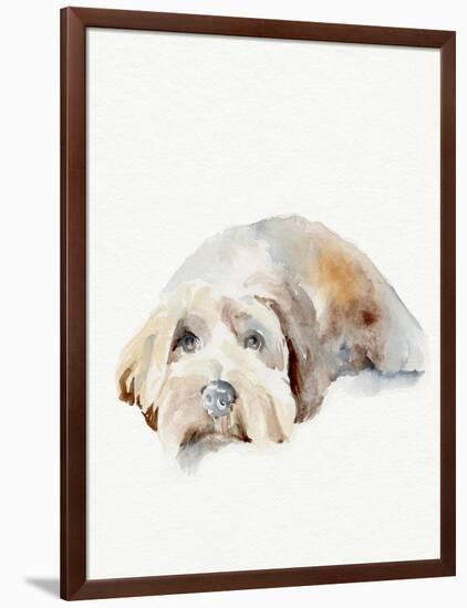 Scruffy Puppy II-Jennifer Parker-Framed Art Print