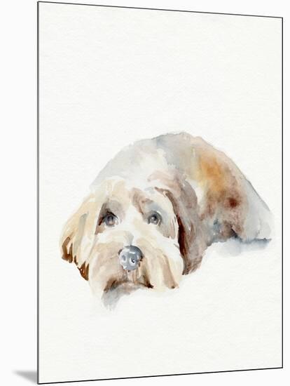 Scruffy Puppy II-Jennifer Parker-Mounted Art Print