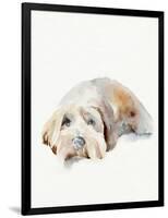 Scruffy Puppy II-Jennifer Parker-Framed Art Print