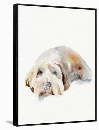 Scruffy Puppy II-Jennifer Parker-Framed Stretched Canvas