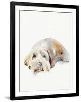 Scruffy Puppy II-Jennifer Parker-Framed Art Print