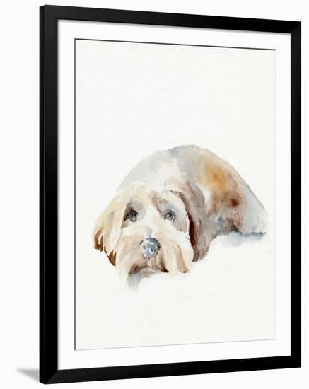 Scruffy Puppy II-Jennifer Parker-Framed Art Print