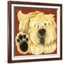 Scruffy-Kate Mawdsley-Framed Giclee Print