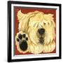 Scruffy-Kate Mawdsley-Framed Giclee Print