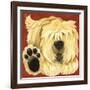 Scruffy-Kate Mawdsley-Framed Giclee Print