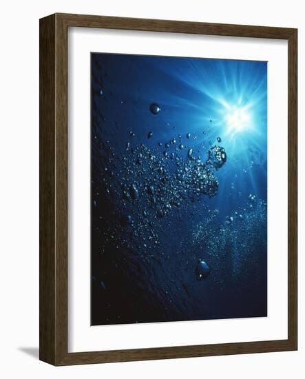 Scuba Bubbles-Matthew Oldfield-Framed Photographic Print