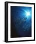 Scuba Bubbles-Matthew Oldfield-Framed Photographic Print