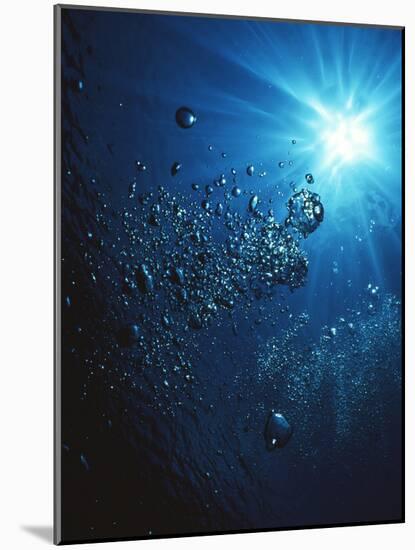 Scuba Bubbles-Matthew Oldfield-Mounted Photographic Print