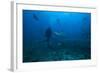 Scuba Diver and Silvertip Shark at the Bistro Dive Site in Fiji-Stocktrek Images-Framed Photographic Print