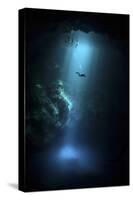 Scuba Diver Descends into the Pit Cenote in Mexico-null-Stretched Canvas