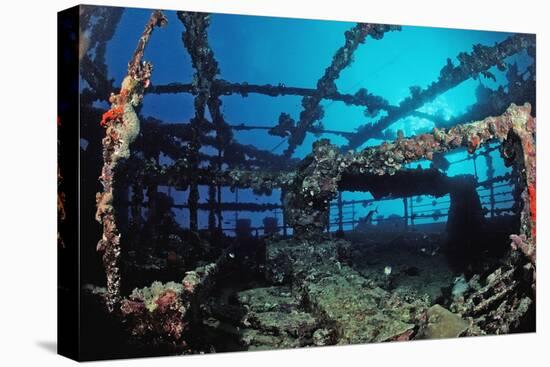 Scuba Diver Diving on Umbria Shipwreck, Sudan, Africa, Red Sea, Wingate Reef-Reinhard Dirscherl-Stretched Canvas