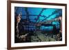 Scuba Diver Diving on Umbria Shipwreck, Sudan, Africa, Red Sea, Wingate Reef-Reinhard Dirscherl-Framed Photographic Print