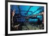 Scuba Diver Diving on Umbria Shipwreck, Sudan, Africa, Red Sea, Wingate Reef-Reinhard Dirscherl-Framed Photographic Print