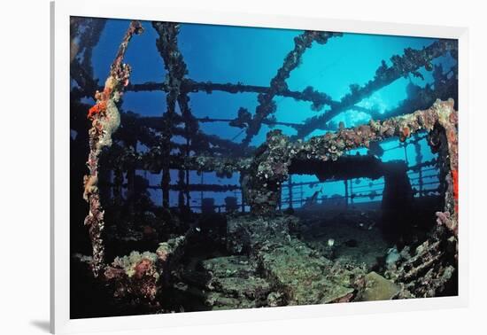 Scuba Diver Diving on Umbria Shipwreck, Sudan, Africa, Red Sea, Wingate Reef-Reinhard Dirscherl-Framed Photographic Print