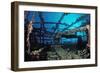 Scuba Diver Diving on Umbria Shipwreck, Sudan, Africa, Red Sea, Wingate Reef-Reinhard Dirscherl-Framed Photographic Print