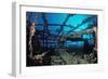 Scuba Diver Diving on Umbria Shipwreck, Sudan, Africa, Red Sea, Wingate Reef-Reinhard Dirscherl-Framed Photographic Print