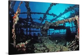 Scuba Diver Diving on Umbria Shipwreck, Sudan, Africa, Red Sea, Wingate Reef-Reinhard Dirscherl-Stretched Canvas