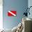 Scuba Diver Down Flag-null-Poster displayed on a wall