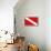 Scuba Diver Down Flag-null-Poster displayed on a wall