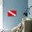 Scuba Diver Down Flag-null-Mounted Poster displayed on a wall