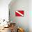 Scuba Diver Down Flag-null-Mounted Poster displayed on a wall