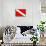 Scuba Diver Down Flag-null-Art Print displayed on a wall