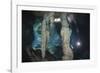 Scuba Diver in Gran Cenote, Tulum, Yucatan Peninsula, Mexico. Model Release-Reinhard Dirscherl-Framed Photographic Print