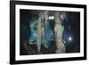 Scuba Diver in Gran Cenote, Tulum, Yucatan Peninsula, Mexico. Model Release-Reinhard Dirscherl-Framed Photographic Print