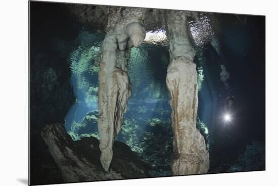 Scuba Diver in Gran Cenote, Tulum, Yucatan Peninsula, Mexico. Model Release-Reinhard Dirscherl-Mounted Photographic Print