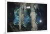 Scuba Diver in Gran Cenote, Tulum, Yucatan Peninsula, Mexico. Model Release-Reinhard Dirscherl-Framed Photographic Print