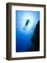 Scuba Diver Near Bloody Bay Wall-Paul Souders-Framed Photographic Print