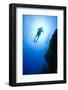 Scuba Diver Near Bloody Bay Wall-Paul Souders-Framed Photographic Print
