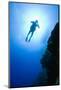 Scuba Diver Near Bloody Bay Wall-Paul Souders-Mounted Photographic Print