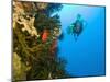 Scuba Diver Swimming into Cave of Tubastrae Coral Formation and Soldierfish, Banda Sea, Indonesia-Stuart Westmoreland-Mounted Photographic Print