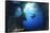 Scuba Diver Swimming through an Arch-Bernard Radvaner-Framed Stretched Canvas