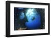 Scuba Diver Swimming through an Arch-Bernard Radvaner-Framed Premium Photographic Print