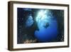 Scuba Diver Swimming through an Arch-Bernard Radvaner-Framed Photographic Print