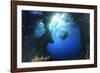 Scuba Diver Swimming through an Arch-Bernard Radvaner-Framed Photographic Print