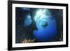 Scuba Diver Swimming through an Arch-Bernard Radvaner-Framed Photographic Print