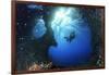 Scuba Diver Swimming through an Arch-Bernard Radvaner-Framed Photographic Print