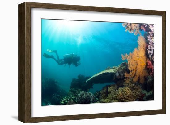 Scuba Diver Swimming with Gopro in Coral Landscape Scenic at Thetford Reef-Louise Murray-Framed Photographic Print