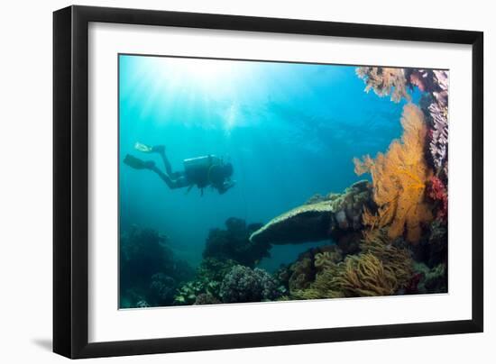 Scuba Diver Swimming with Gopro in Coral Landscape Scenic at Thetford Reef-Louise Murray-Framed Photographic Print