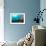 Scuba Diver Swimming with Gopro in Coral Landscape Scenic at Thetford Reef-Louise Murray-Framed Photographic Print displayed on a wall