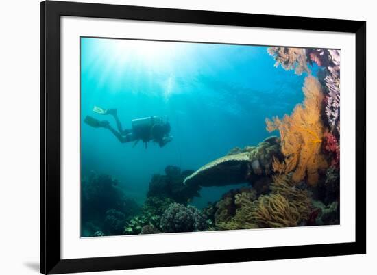 Scuba Diver Swimming with Gopro in Coral Landscape Scenic at Thetford Reef-Louise Murray-Framed Photographic Print