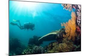 Scuba Diver Swimming with Gopro in Coral Landscape Scenic at Thetford Reef-Louise Murray-Mounted Photographic Print