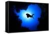 Scuba Diver Swims over Underwater Cave, Silhouette against Sun-Rich Carey-Framed Stretched Canvas