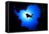 Scuba Diver Swims over Underwater Cave, Silhouette against Sun-Rich Carey-Framed Stretched Canvas